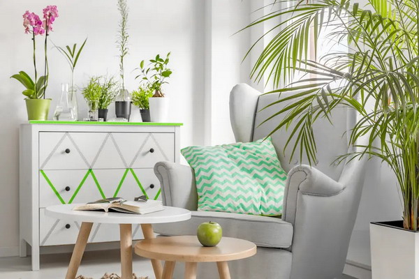 10 ways to decorate your home in 2022 without spending any money